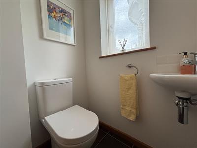 Picture 31
